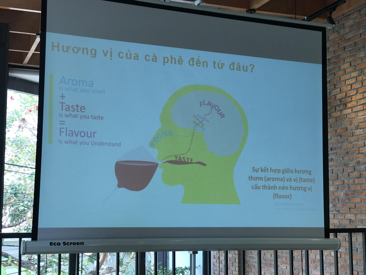 Hương vị cà phê