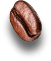 bean2